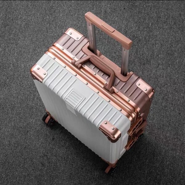 WhatsApp Image 2026-06-29 at 05.10.07 Old money summer suit case