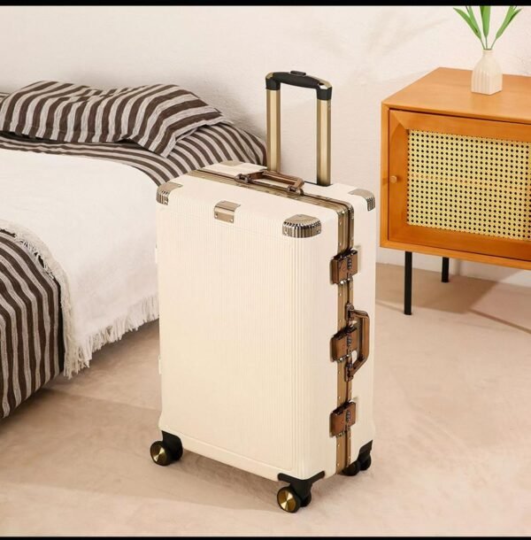 Jet stream luggage